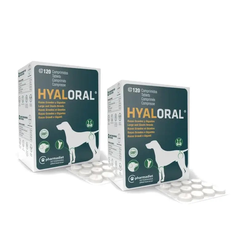 Hyaloral für große Hunde, 120 Tabletten, 2er-Pack
