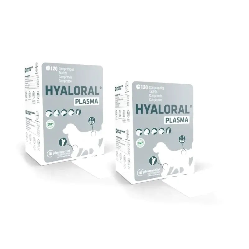 Hyaloral Plasma 120 Tabletten, 2er-Pack