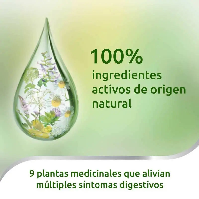 Iberogast Mundtropfen 50 ml