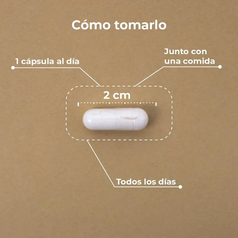 Kobho Labs Liposomale Vitamin C Ergänzung + Reishi, 60 Kapseln