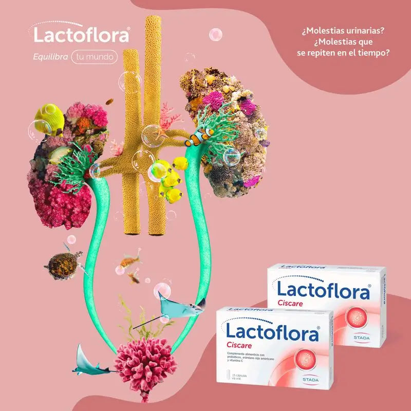 Lactoflora Ciscare 30 Kapseln