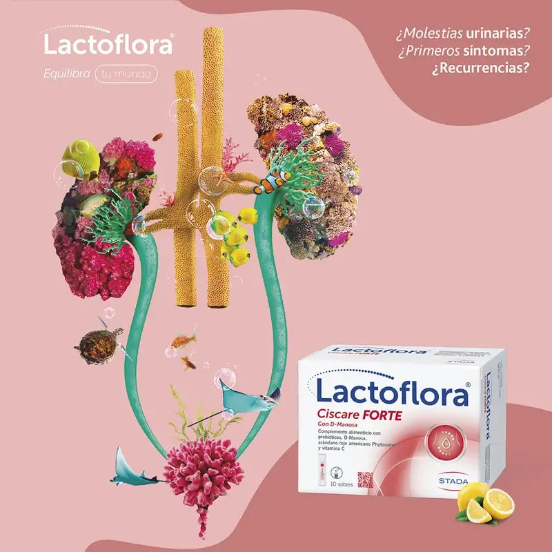 Lactoflora Ciscare Forte, 10 Stäbchen