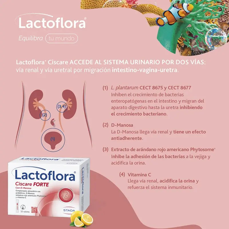 Lactoflora Ciscare Forte, 10 Stäbchen