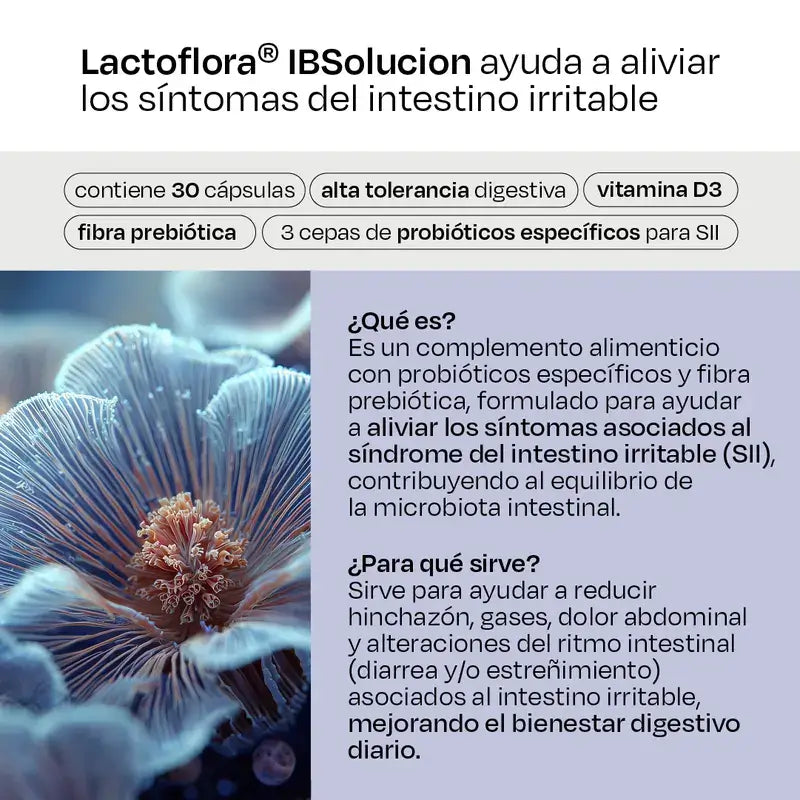 Lactoflora Ibsolution, 2X28 Umschläge