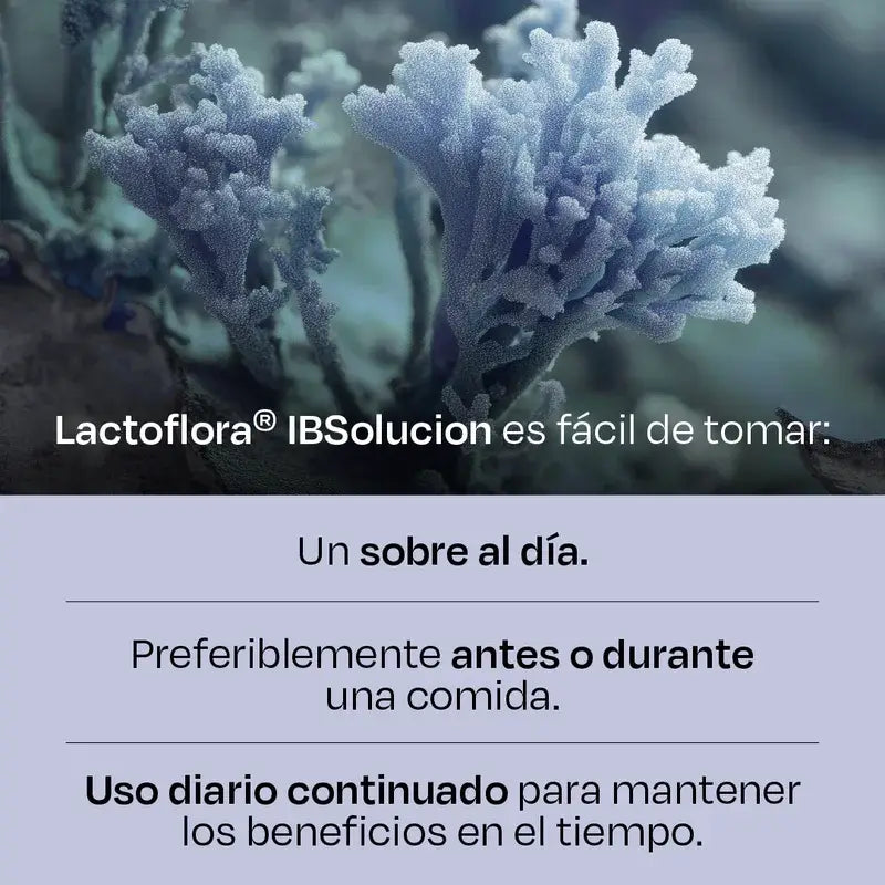 Lactoflora Ibsolution, 2X28 Umschläge
