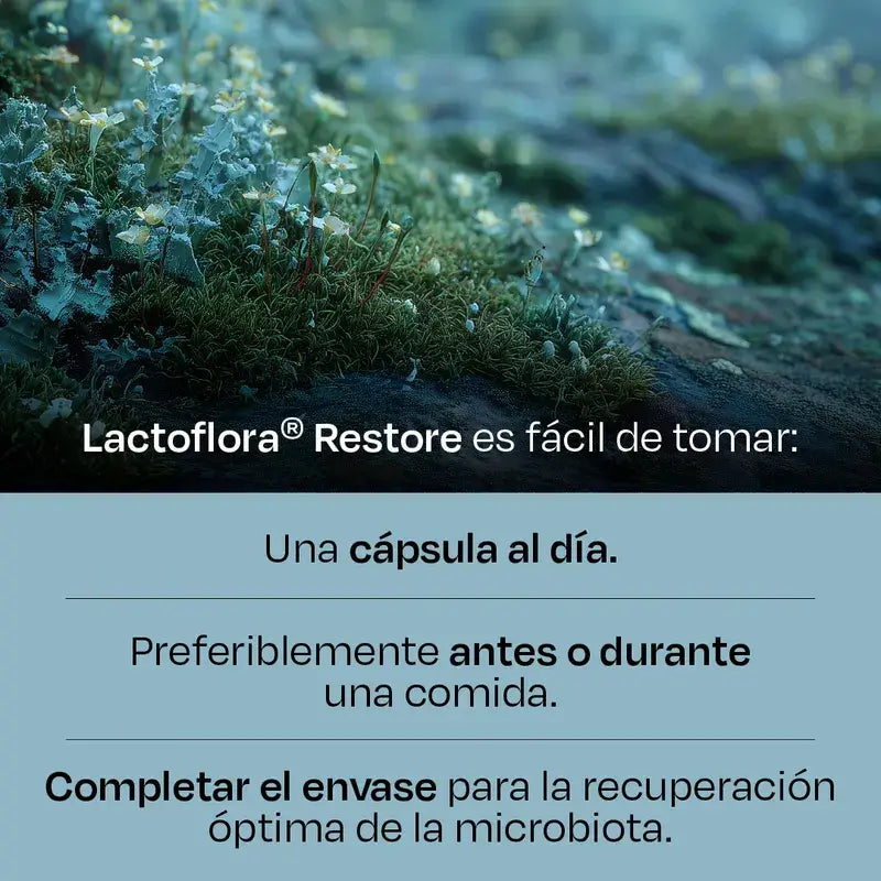 Lactoflora Restore Pack 3 x 20 Kapseln
