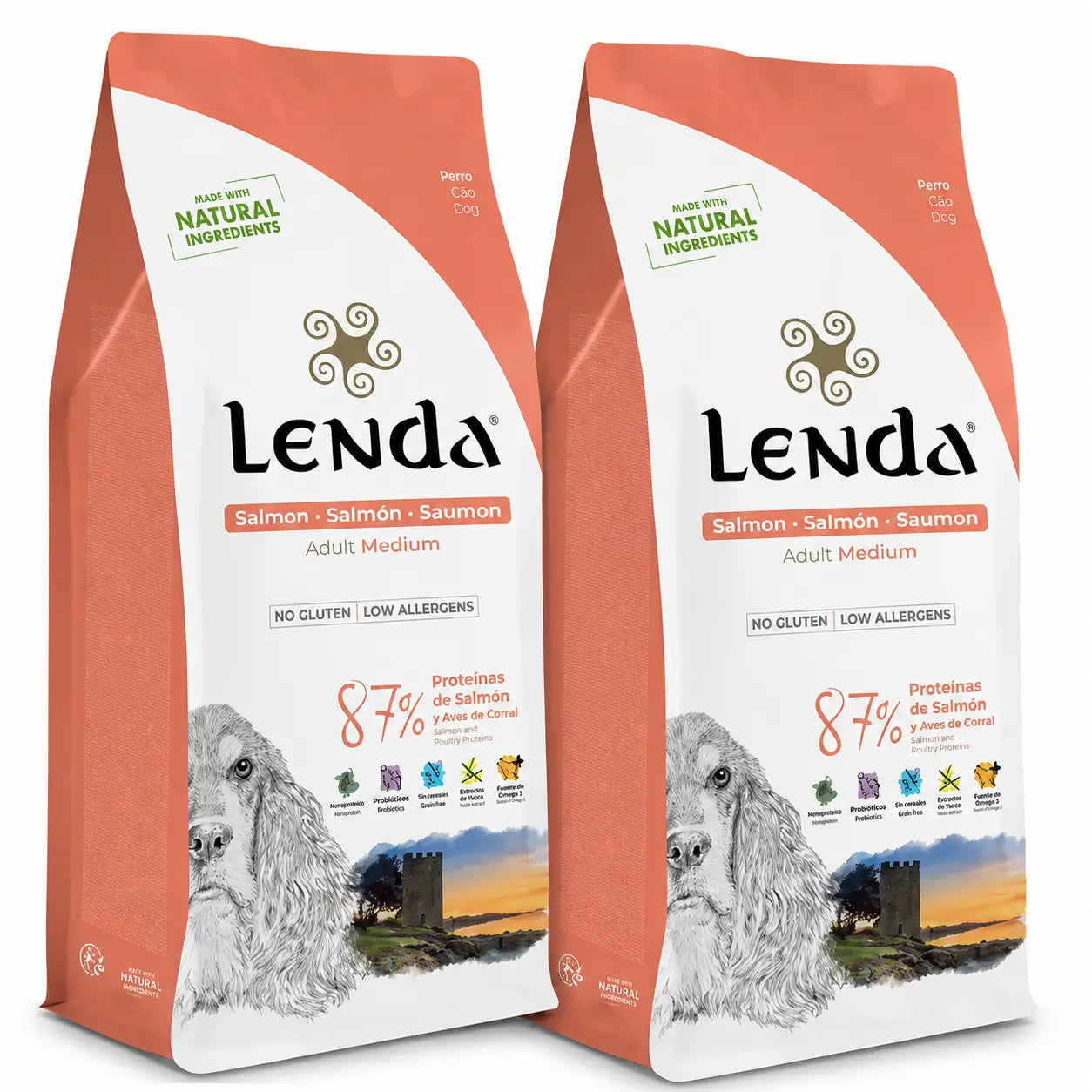 Lenda Adult Hund Lachs, 2 X 2 kg