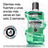 Listerine Zahn- & Zahnfleischschutz Mundwasser Fresh Mint, 500 Ml