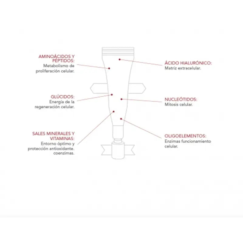 BIODERMA Matricium 30 Einzeldosis 1 ml