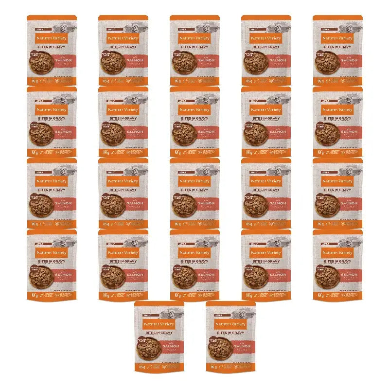 Nature'S Variety Katzenfutter (Nassfutter) mit Lachs, Multipack, 22 x 85 g