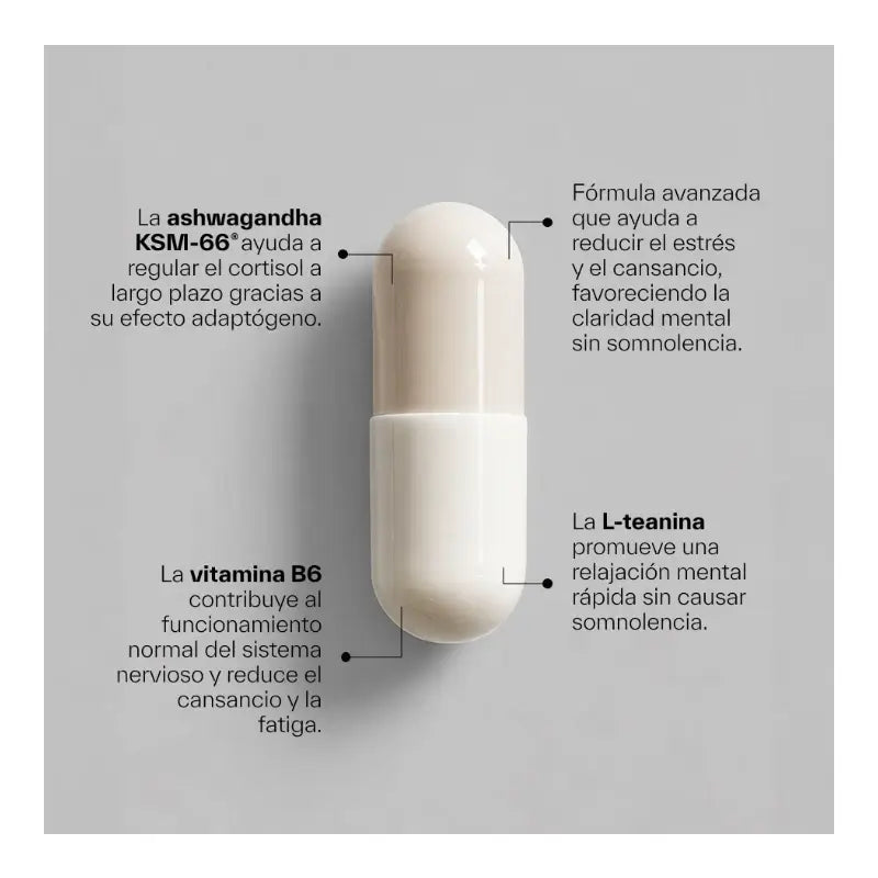 Ndl Pro-Health Ashwagandha Ksm-66 aus biologischem Anbau + L-Theanin, 120 Kapseln