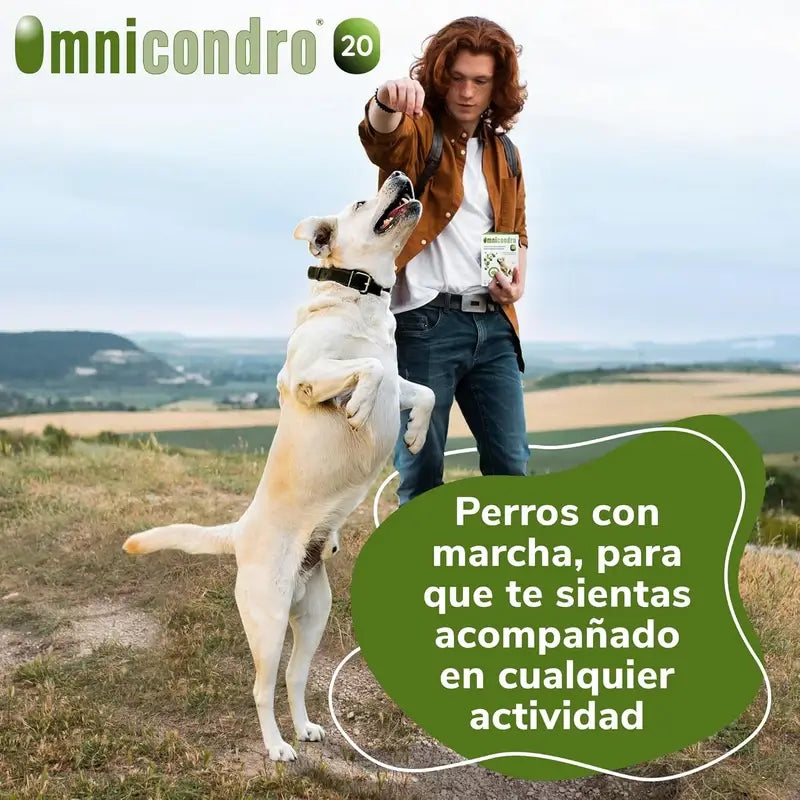Omnicondro 20 Chondroprotector für Hunde, 2X60 Tabletten