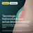 Compeed Pack Dressing mittlere Härte, 2x6 Einheiten