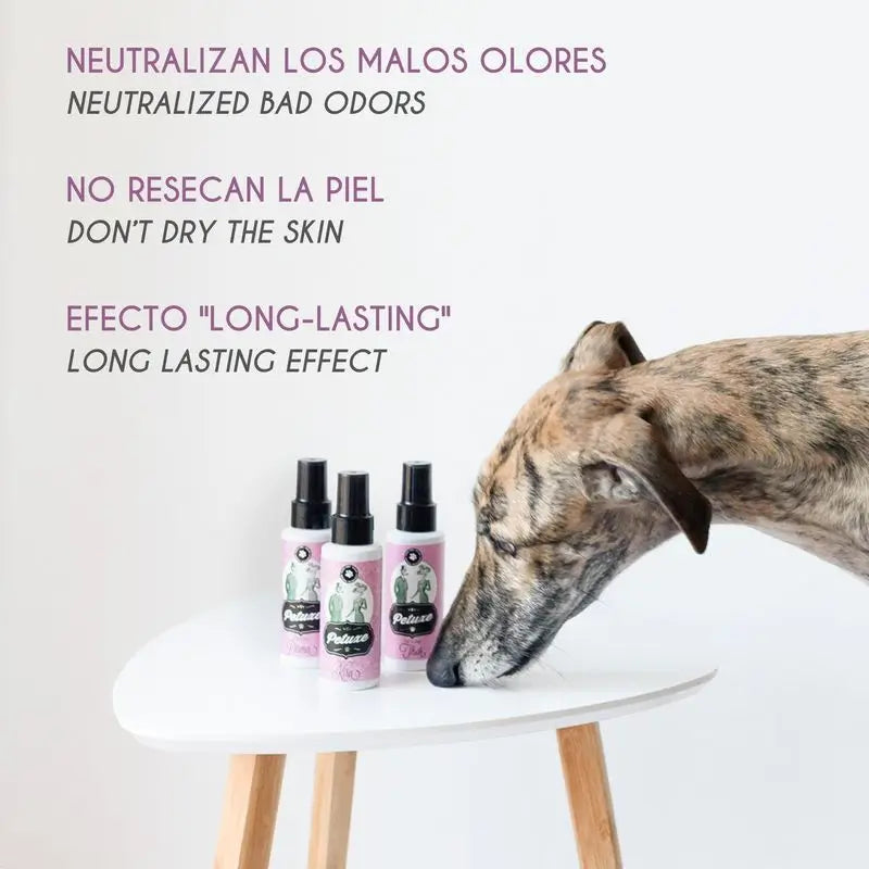 Petuxe Luna Parfüm 100 Ml