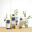 Phyto Pflegende Pflegespülung , 175 ml