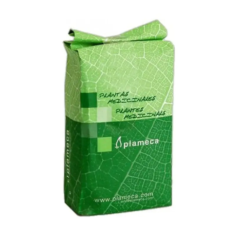 Plameca Horsetail Import Trit , 1 kg