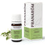 Pranarom Jasmine Essential Oil, 5ml
