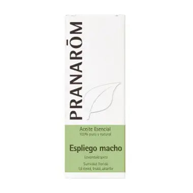 Pranarom Essential Oil Lavender Male Bio, 10ml