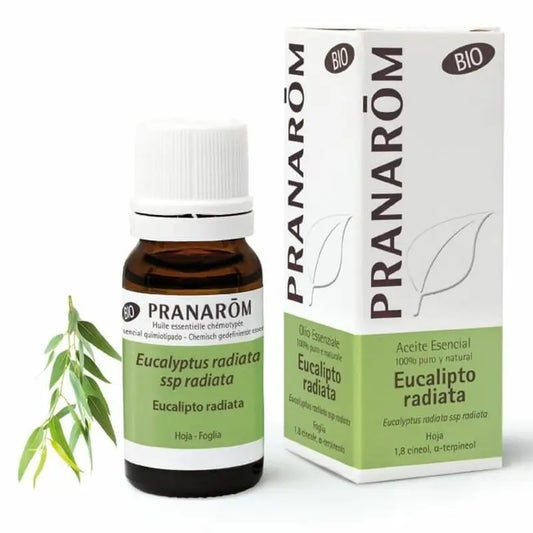 Pranarom Essential Oil Eucalyptus Radiata, 30ml