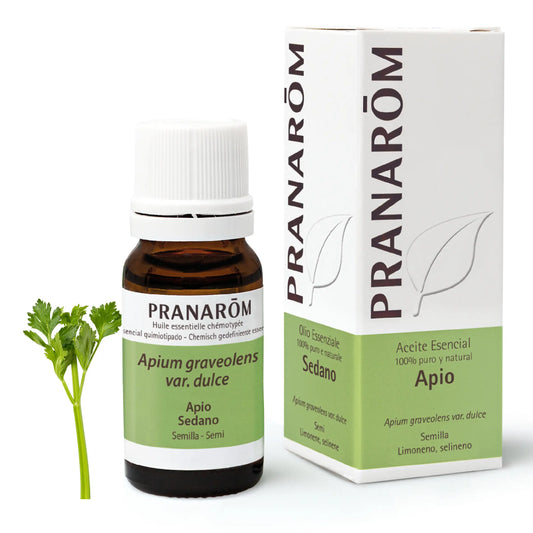 Pranarom Essential Oil Celery, 10ml