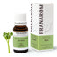 Pranarom Essential Oil Celery, 10ml