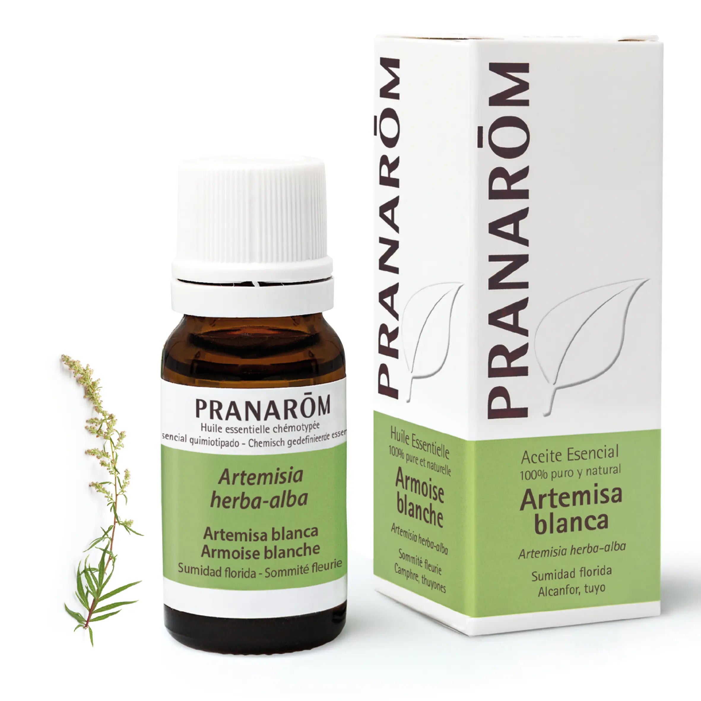 Pranarom Essential Oil White Mugwort, 10ml