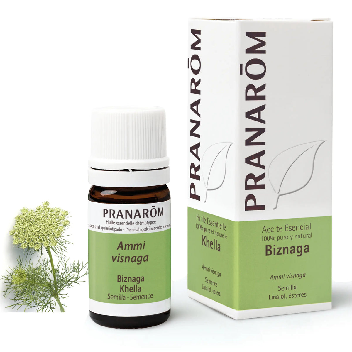 Pranarom Essential Oil of Pomegranate, 5ml