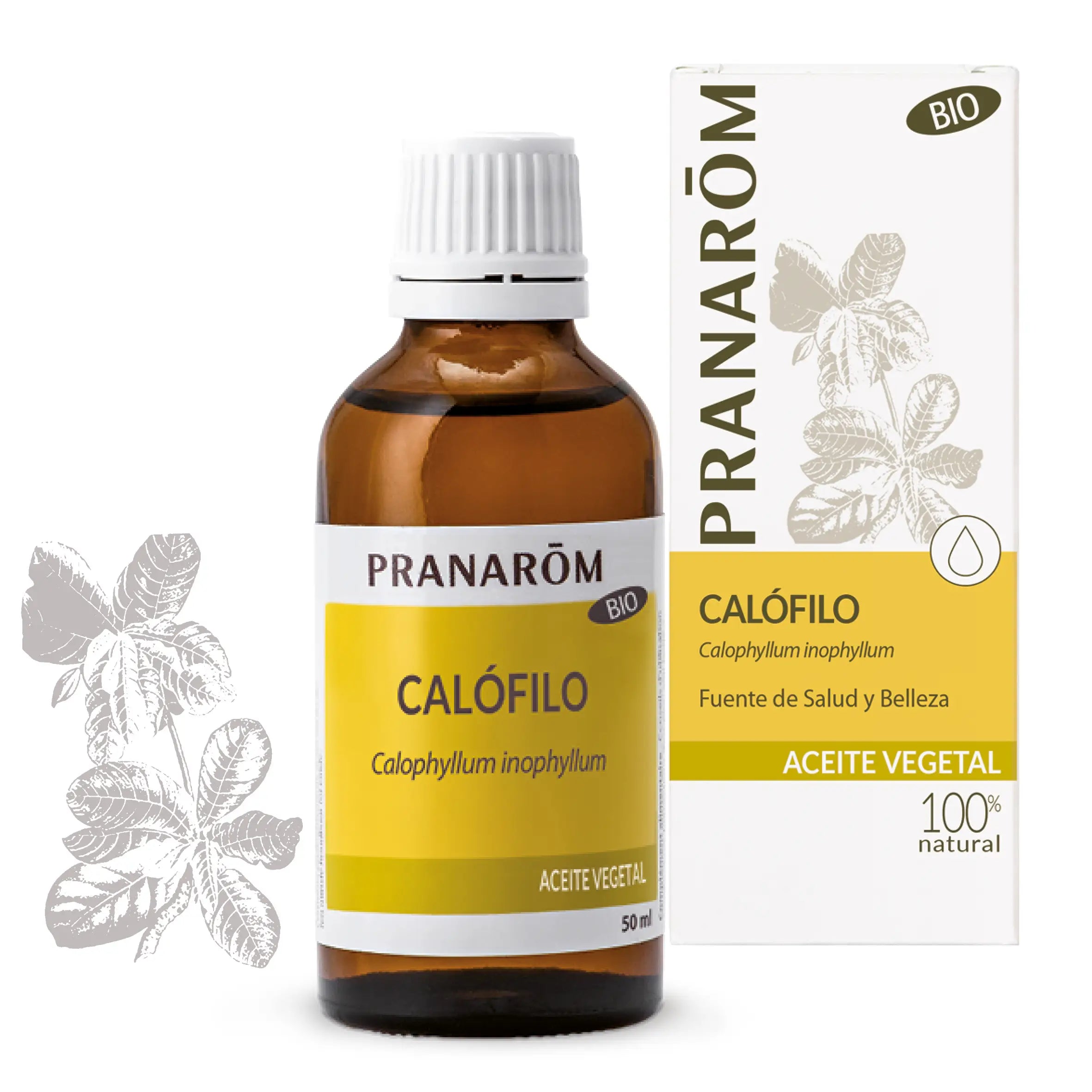 Pranarom Calophyllum Plant Oil, 50ml