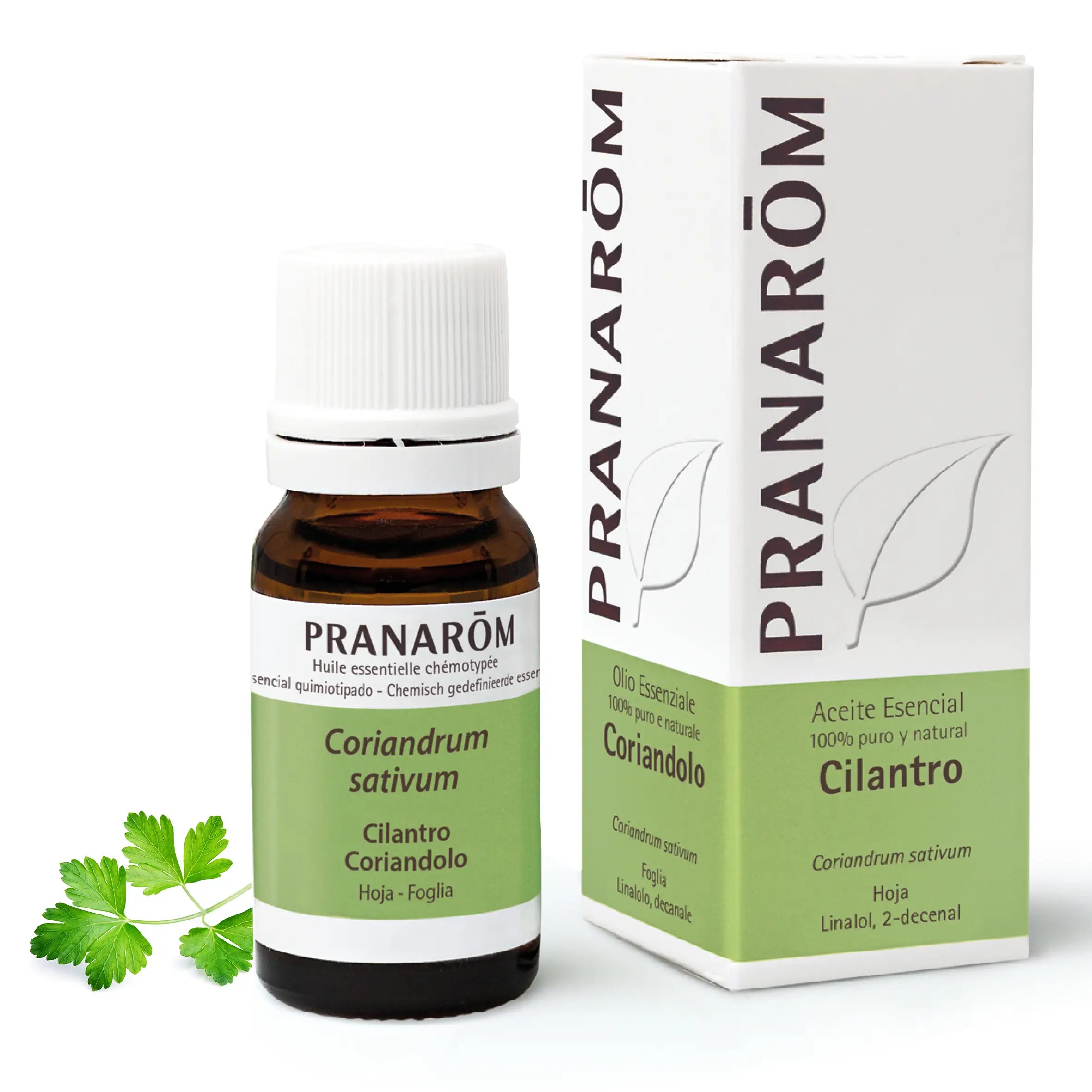 Pranarom Essential Oil Cilantro, 10ml