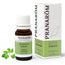 Pranarom Essential Oil Cilantro, 10ml