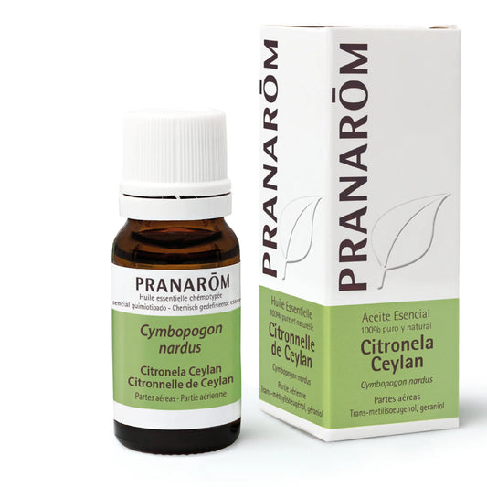 Pranarom Essential Oil Citronella Ceylon, 10ml