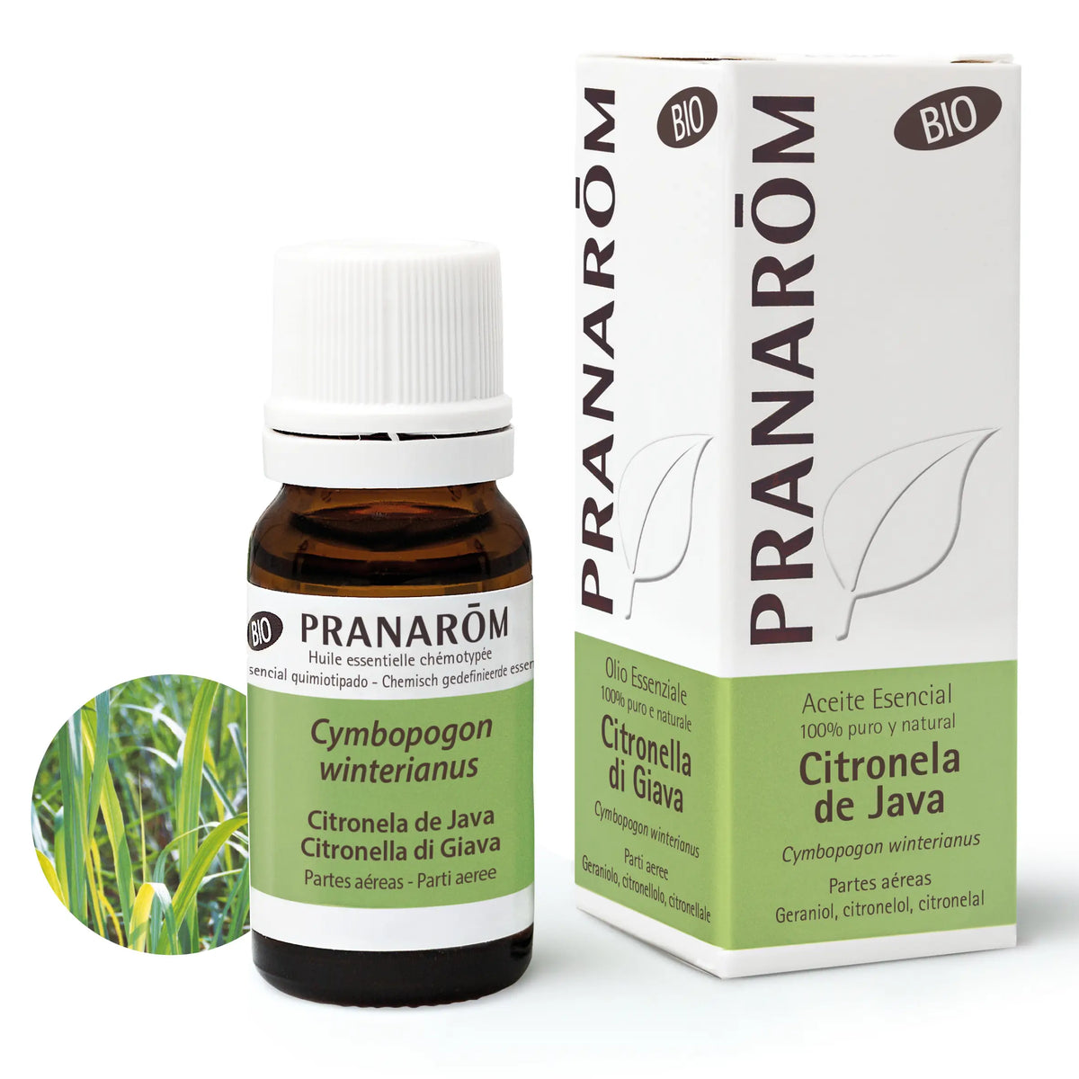 Pranarom Citronella Java Essential Oil Bio, 10ml
