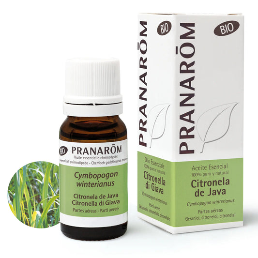Pranarom Citronella Java Essential Oil Bio, 10ml