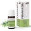 Pranarom Essential Oil Organic Juniper Berry, 5ml