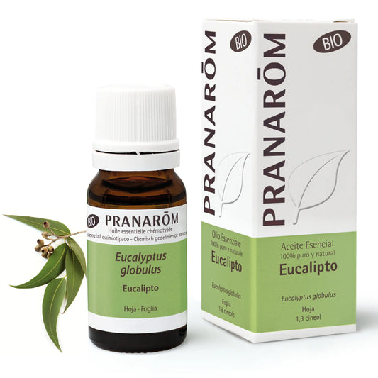 Pranarom Essential Oil Eucalyptus Bio, 10ml