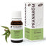 Pranarom Essential Oil Eucalyptus Bio, 10ml