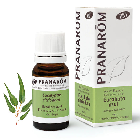 Pranarom Essential Oil Blue Eucalyptus Bio, 10ml