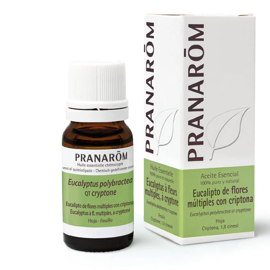 Pranarom Essential Oil Eucalyptus Multifloral, 10ml