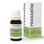 Pranarom Essential Oil Eucalyptus Multifloral, 10ml