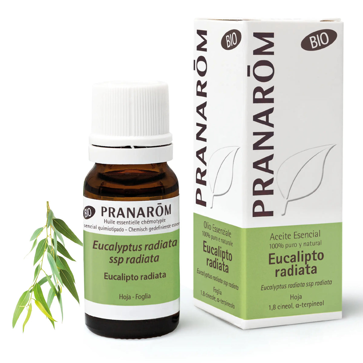 Pranarom Essential Oil Eucalyptus Radiata Bio, 10ml