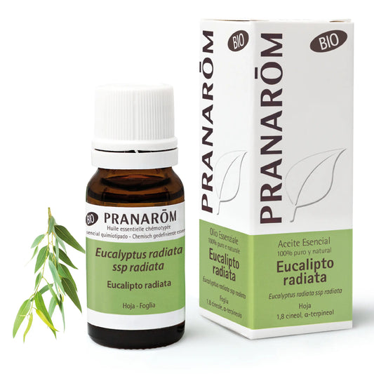 Pranarom Essential Oil Eucalyptus Radiata Bio, 10ml