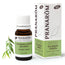 Pranarom Essential Oil Eucalyptus Radiata Bio, 10ml