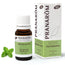 Pranarom Peppermint Essential Oil, 10ml