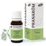 Pranarom Fennel Essential Oil Bio, 10ml