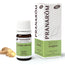 Pranarom Essential Oil Ginger Bio, 5ml