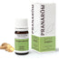 Pranarom Essential Oil Ginger, 5ml