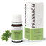 Pranarom Essential Oil Leviticus, 5ml