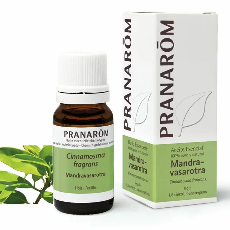 Pranarom Essential Oil Mandravasarotra, 10ml
