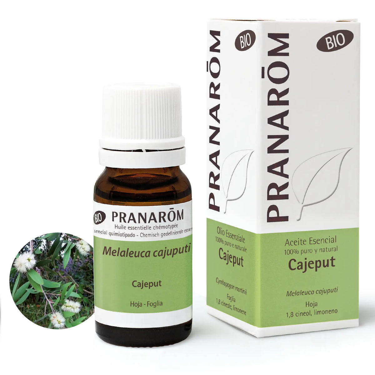 Pranarom Cajeput Essential Oil Bio, 10ml