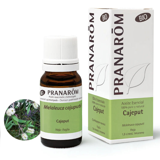 Pranarom Cajeput Essential Oil Bio, 10ml